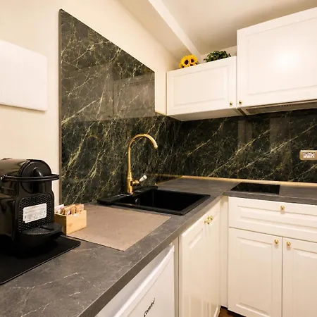 Veronica Suite, Terrace Exclusive Historic Centre Piazza Venezia 公寓 罗马